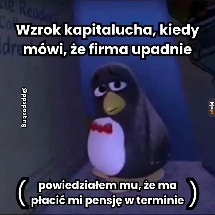 Pracodawca? More like biorca mojej pracy