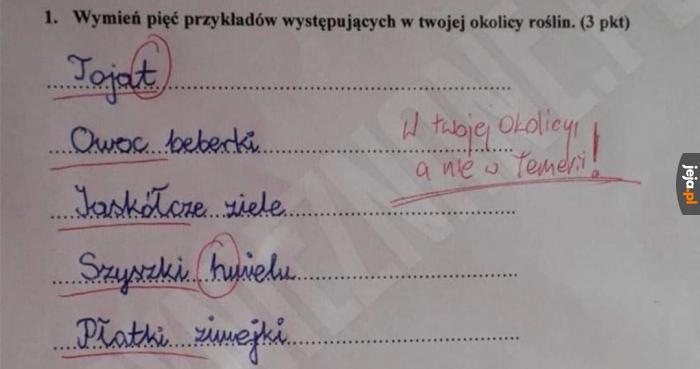 Nauczyciel chyba grywał w Wiedźmina
