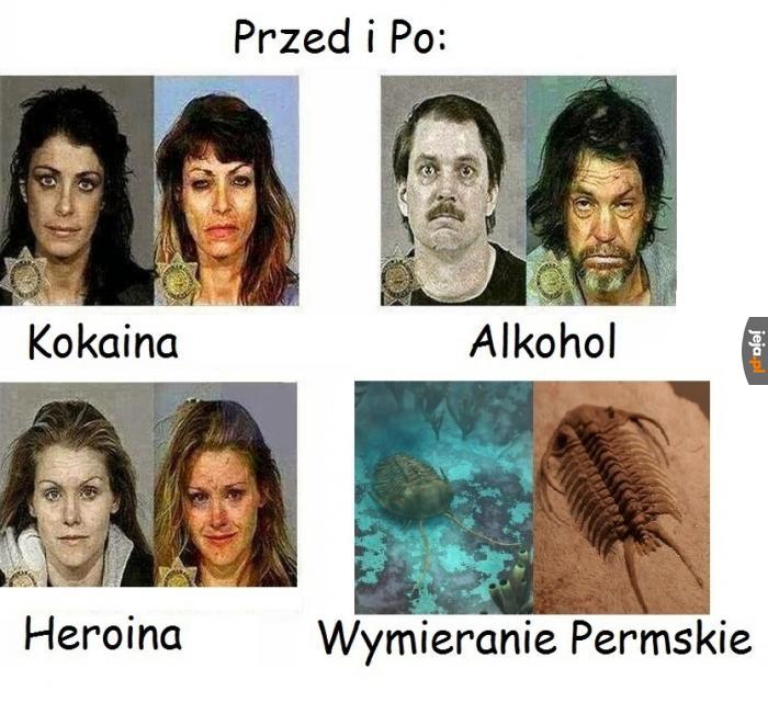 Biedne małe trylobity