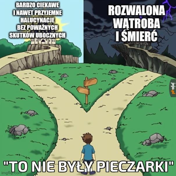 Identyfikowanie grzybów przez ludzi to był prawdziwy poligon