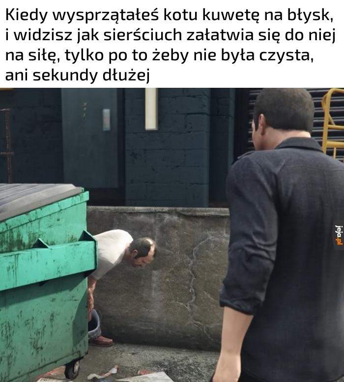 Czuję się doceniony