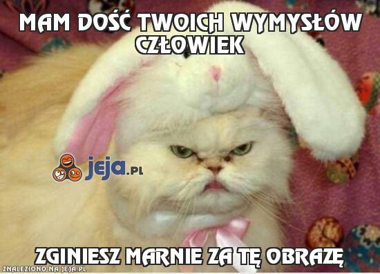 Mam dość Twoich wymysłów człowiek