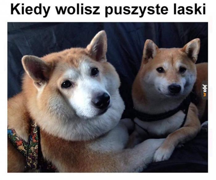 Jest się czego złapać ( ͡° ͜ʖ ͡°)