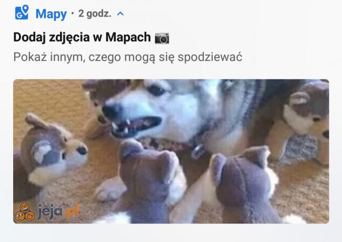 Niebezpieczna dzielnica