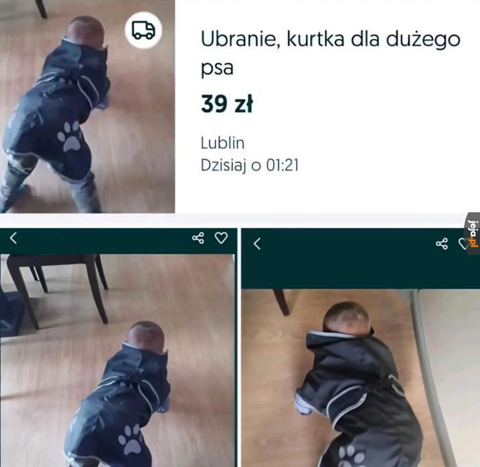 Świetny model