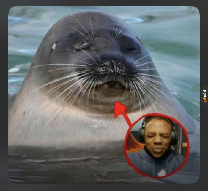 IShowSeal