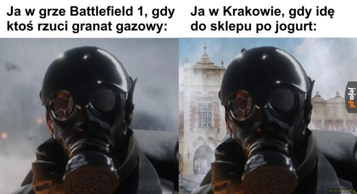 Smog wawelski