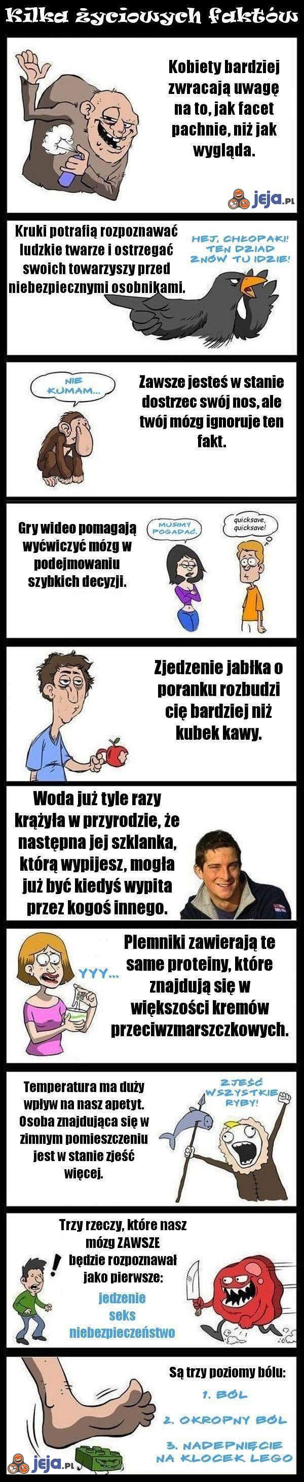 Życiowe fakty