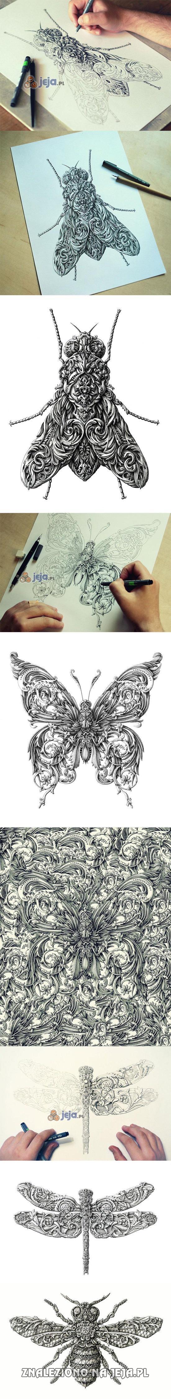 Rysunki owadów w stylu renesansowym