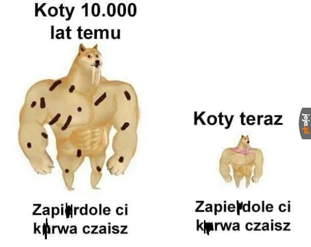 Przeszły długą drogę