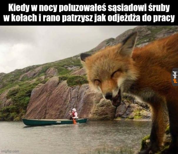 Do później sąsiedzie hehe