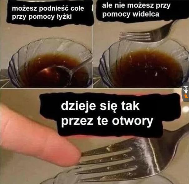 Widelec