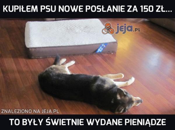 Wiedziałem, że je polubi!