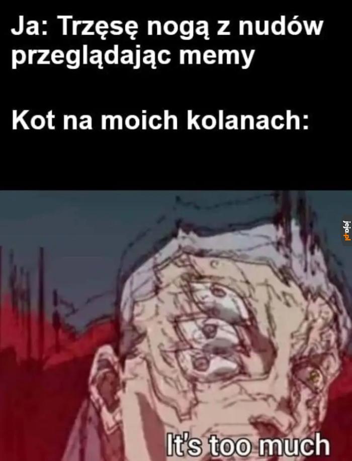 Zaprzestań