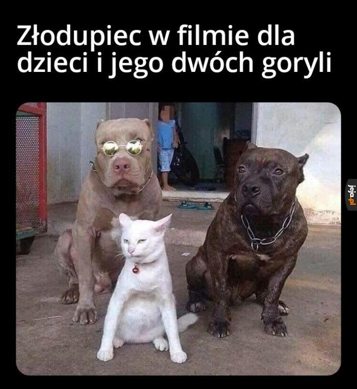 MACIE ICH ZNALEŹĆ I PRZYPROWADZIĆ DO MNIE!