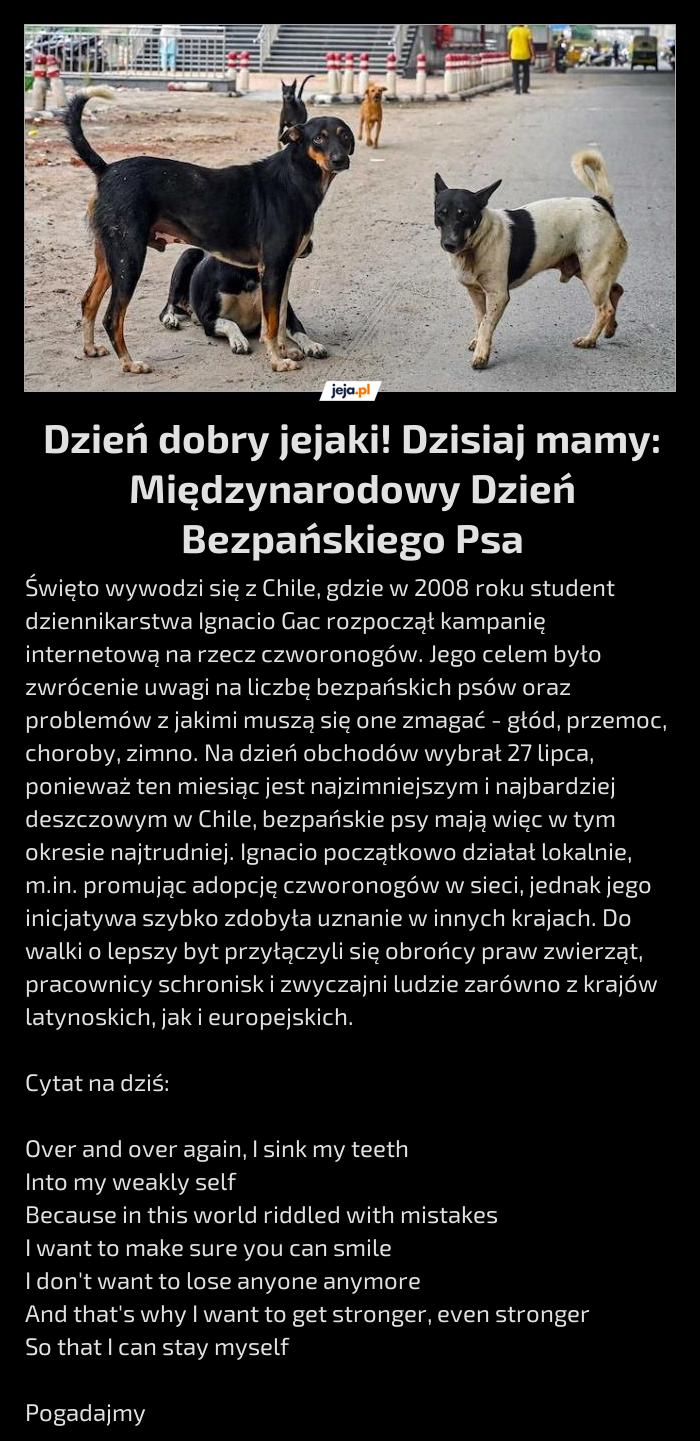 Dzień dobry jejaki! Dzisiaj mamy: Międzynarodowy Dzień Bezpańskiego Psa