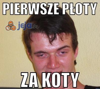 Pierwsze płoty...