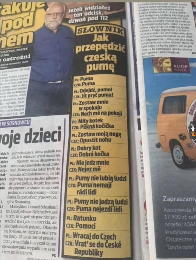 Czeska puma