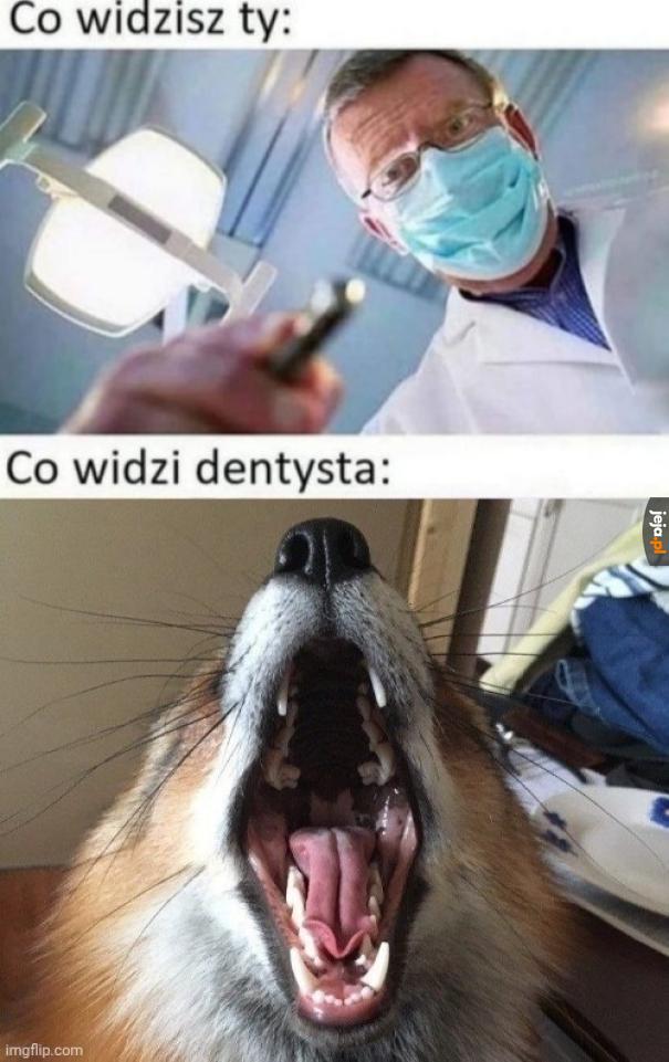 Pamiętajcie żeby regularnie sprawdzać ząbki