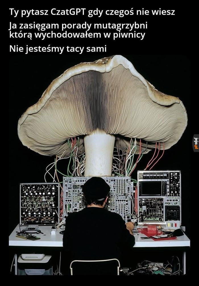 O wielka mutagrzybnio, przekaż mi swą mądrość