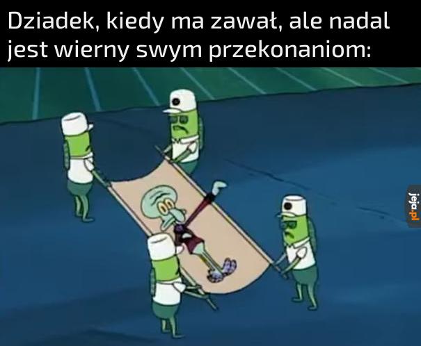 Korzenie niemieckie silniejsze
