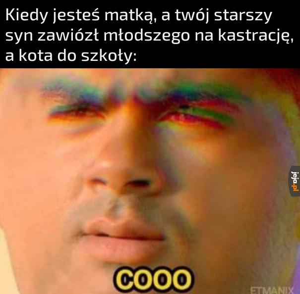 Jeszcze z tego mema zrobią