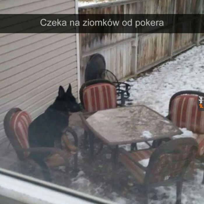 No gdzie oni są...