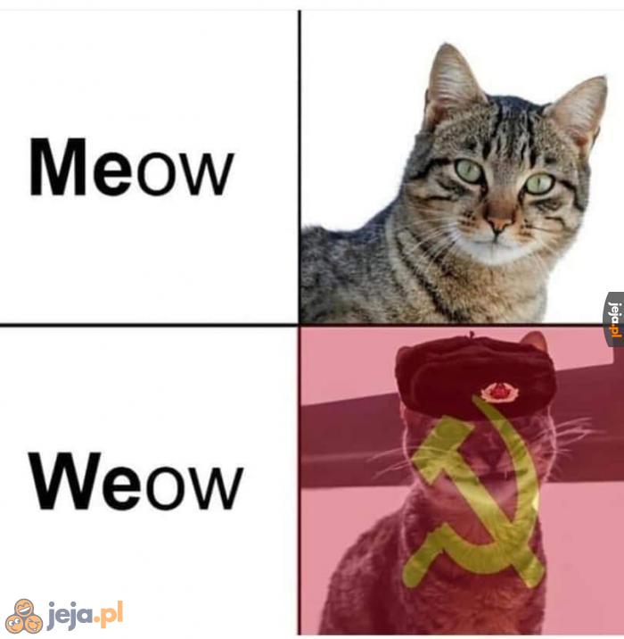 Komunistyczny kotek