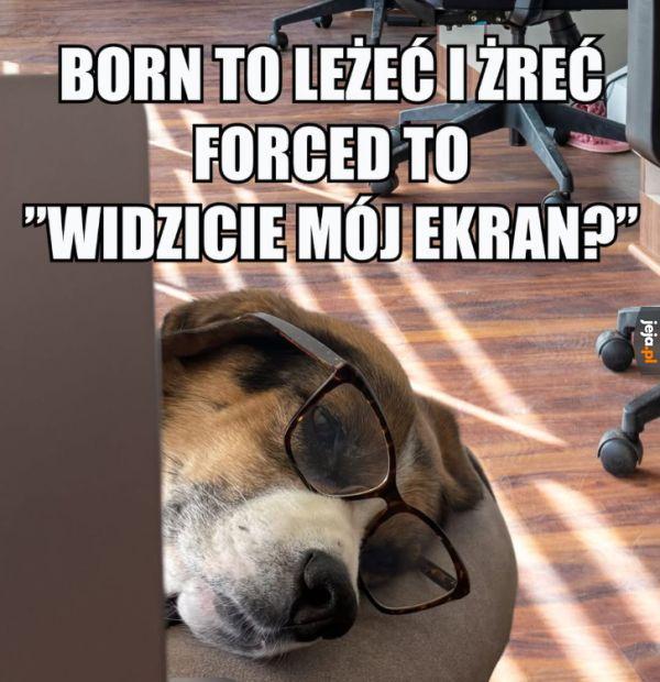 Wolałbym pracować jako chłop pańszczyźniany