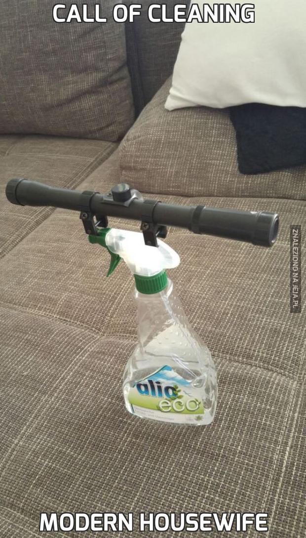 Call of Cleaning