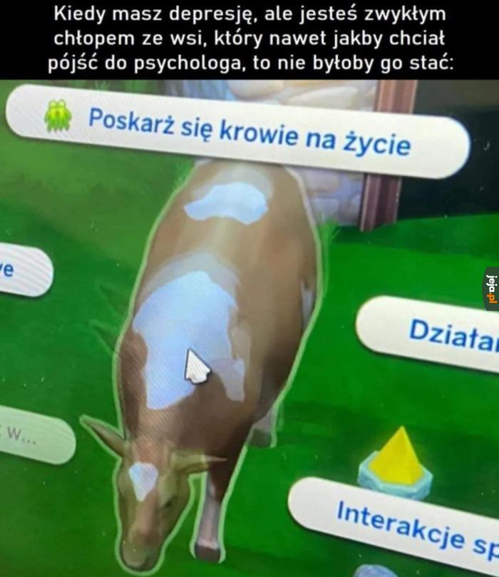 Darmowy psycholog ze wsi