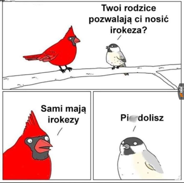 Jaki ojciec taki syn