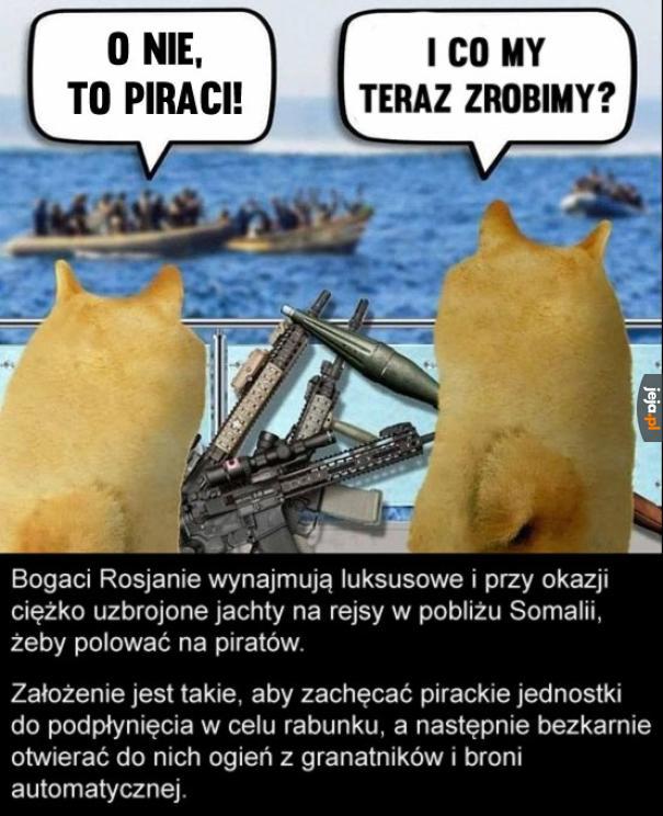 Wspaniała rozrywka dla całej rodziny