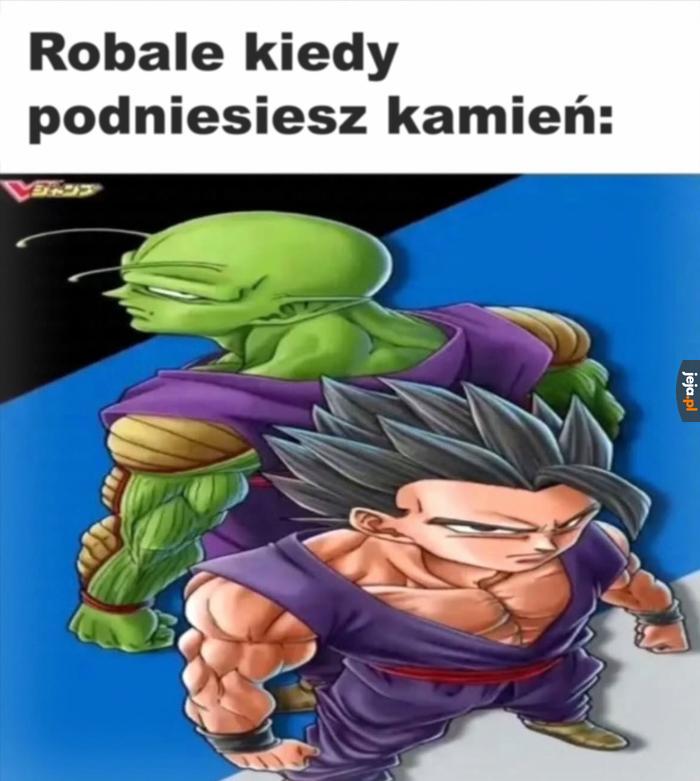 W czym możemy pomóc?