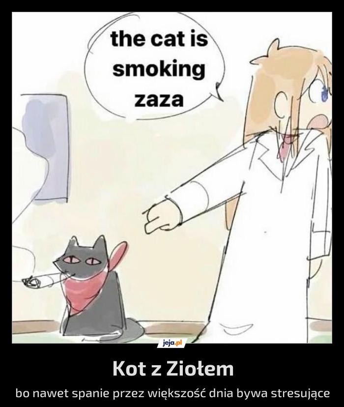 Kot z Ziołem