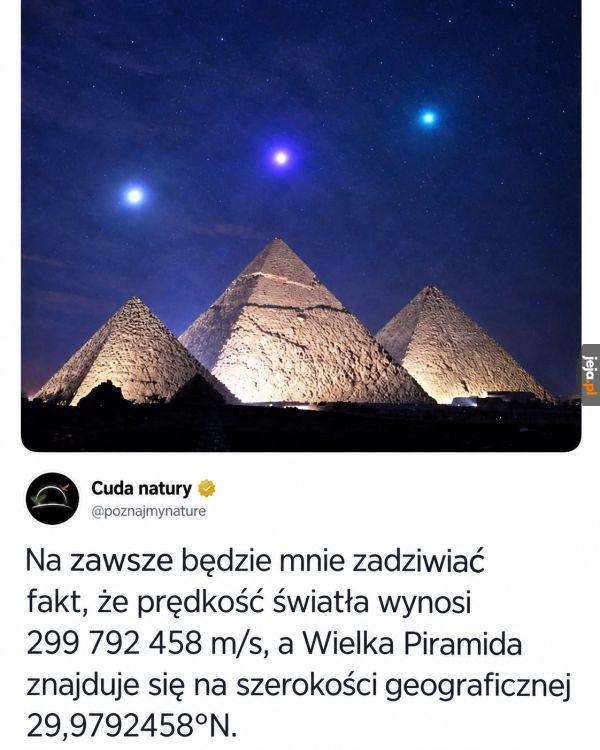 Przypadek?