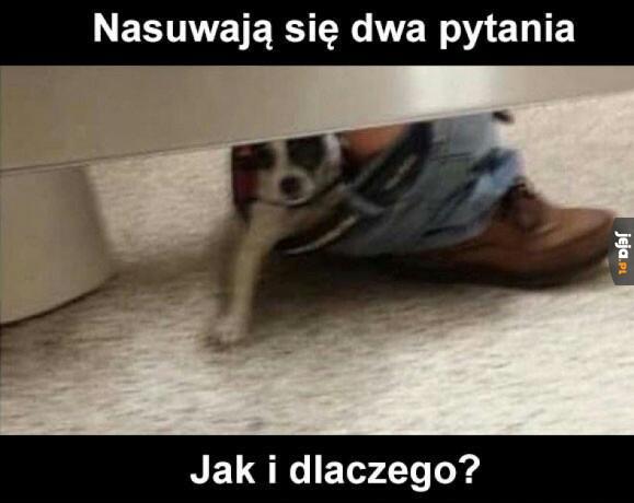 Jak i dlaczego?