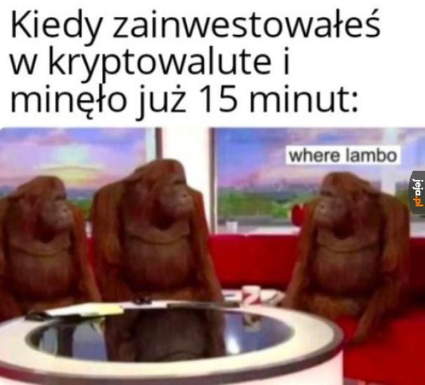 Gdzie moja willa?