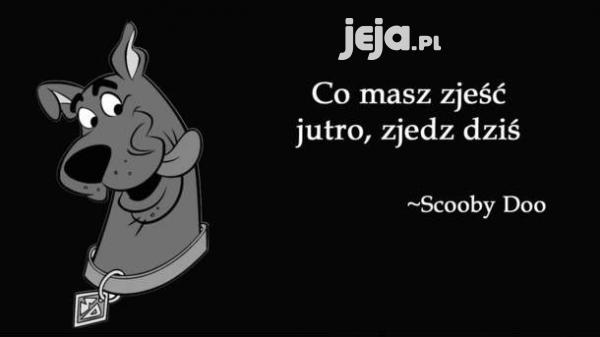 Mądrość Scooby Doo