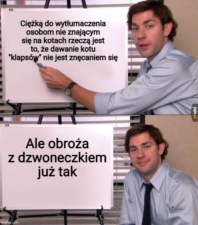 Jedno dla kota jest przyjemnością, a drugie sensoryczną udręką