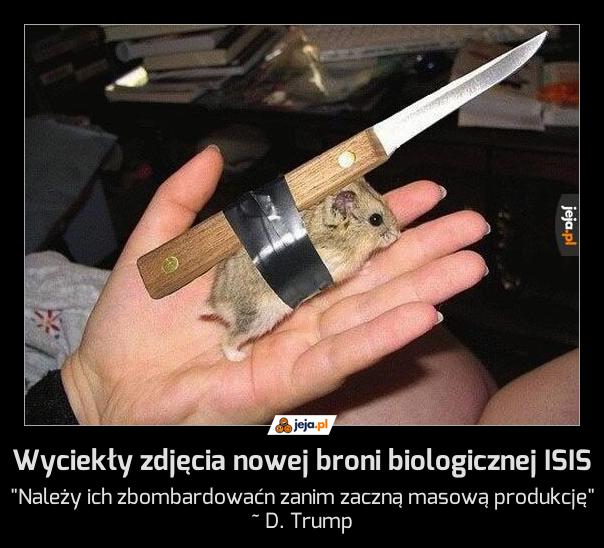 Wyciekły zdjęcia nowej broni biologicznej ISIS