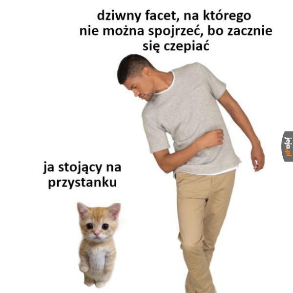 Ja chcę tylko dojechać do domu