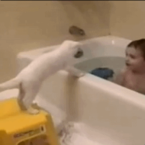 Chodź, kot! Kąp się ze mną!
