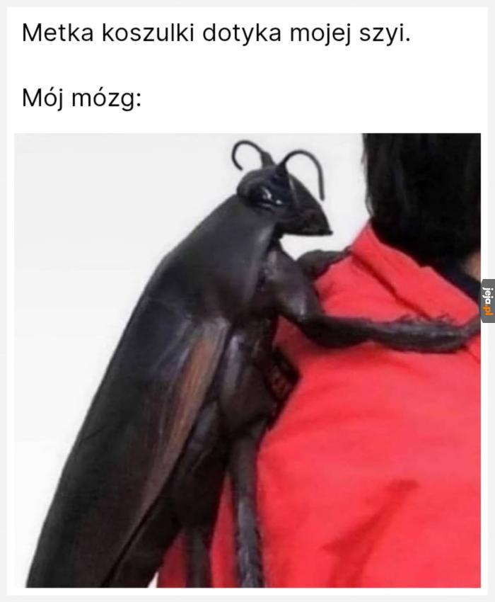 To może być tylko jedno