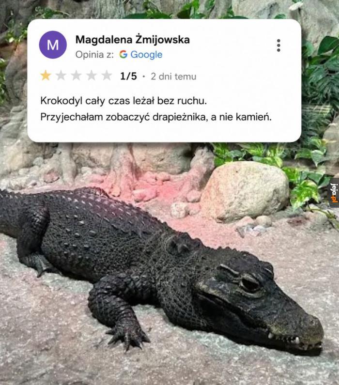 Nie polecam tego krokodyla