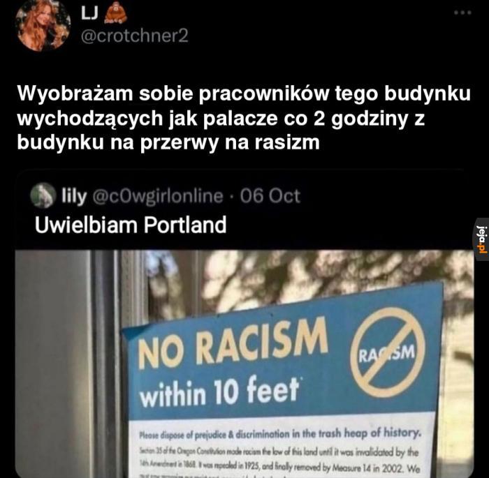 Przerwa na rasizm