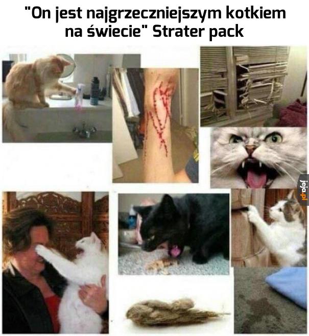 No puchaty aniołek, no