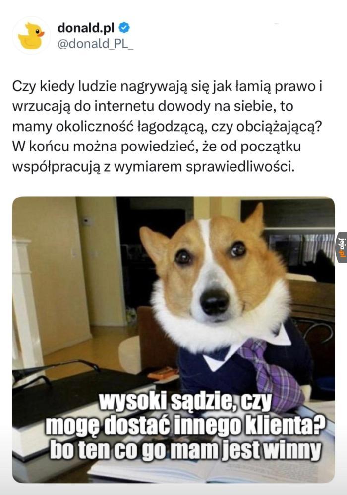W sumie współpracują