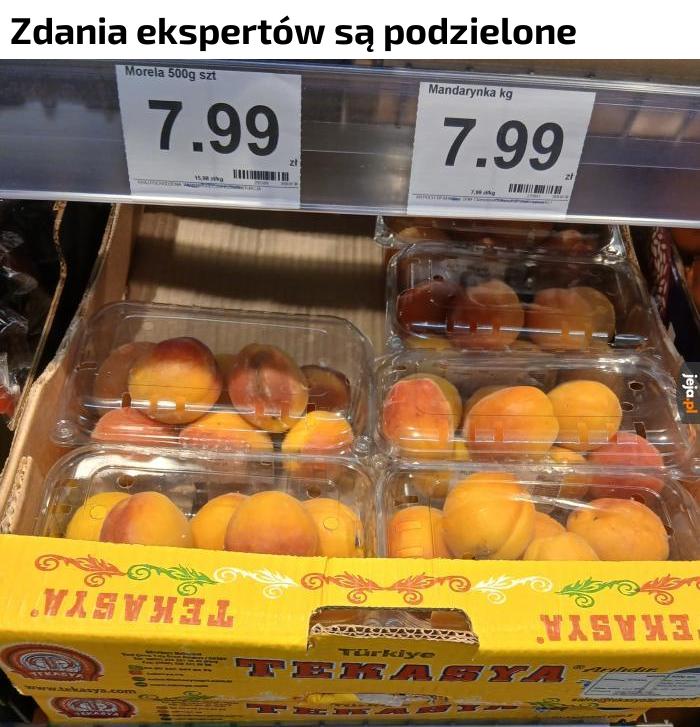 Zdania ekspertów są podzielone