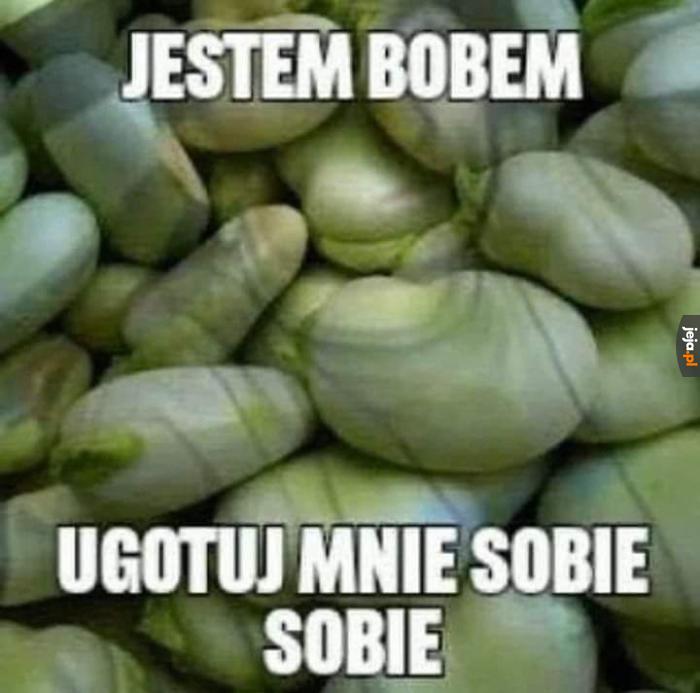 Ty też jesteś bobem